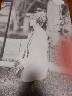 Item thumbnail for item 5fbb9e6c-67ee-4233-86dd-6412cdd6e61f