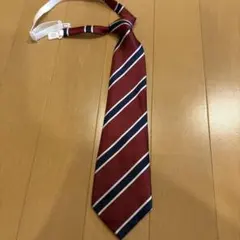 Item thumbnail for item 1d04fc8e-abcf-4529-8d04-48ed6f18b976