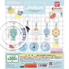 JOCHUM めじるし　ヤヌカミ