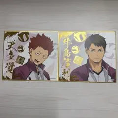 ハイキュー!! 色紙