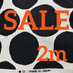 オックス生地　ドット柄