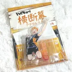 【ハイキュー】【横断幕】日向翔陽