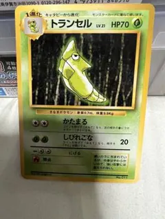 期間限定値下【PSA8】ポケモンカード トランセル 旧裏 初版 マークなし