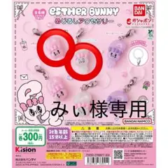 みぃ様専用