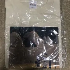 ⏰タイムセール⭐️非売品　スキマスイッチTシャツのサムネイル