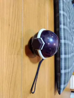 テラスタルオーブ　ポケモン　フレンダ　ポケモンフレンダ