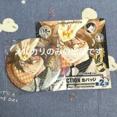 希少】家庭教師ヒットマンREBORN ランボ 缶バッジ 怪物づかいツナ