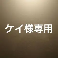 ケイさま専用