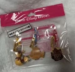 ディズニーリゾート 夏 ストラップ 新品