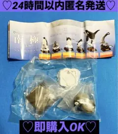 【新品❤️未使用】ネイチャーテクニカラーガチャ南極特装版コウテイペンギンレディース