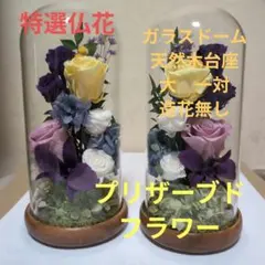 特選仏花 異形ガラスドーム 中 一対 造花無し 蓮の花 プリザーブド