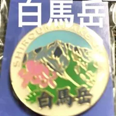 Item thumbnail for item 9c9a4c8a-2ea2-4826-b0e7-fbbeecaf190c