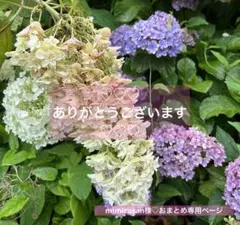 Item thumbnail for item 96fe69a2-6145-4e4c-89ef-5f1f8b4d2b6a