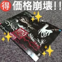 ♥【価格崩壊!!】映画『リアル隠れんぼ』レンタルアップDVD