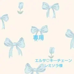 ファンタジースプリングス　アナ雪　エルサ♡キーチェーン　ディズニーシー　☆