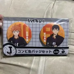 ハイキュー 一番くじ コンビ缶バッジセット