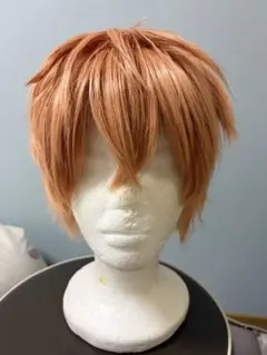 REBORN 沢田綱吉 コスプレ ウィッグ - メルカリ