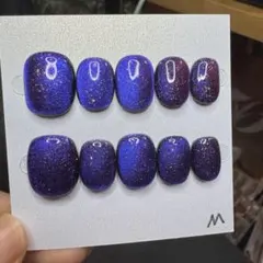 【セツ】マグネット　現品ネイルチップ　付け爪(A752)