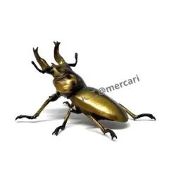 2026年最新】オウゴンオニクワガタの人気アイテム - メルカリ