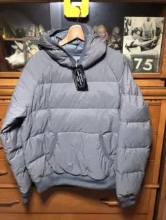 Item thumbnail for item 8abc7ff5-223f-4811-8408-8db81e026564