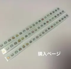 購入ページ