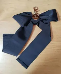 Item thumbnail for item b53dbccb-1930-41dd-a7e0-8e8e82ef9e2a