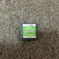 ポケモン不思議のダンジョン　空の探検隊　　DS