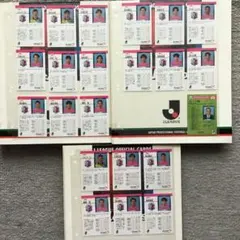 エポック社95.6年Jリーグ セレッソ大阪コレクションカード