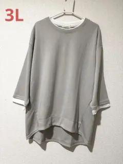 大きいサイズ 新品 重ね着風カットソー 3L