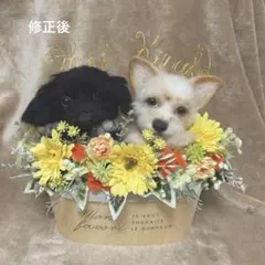羊毛フェルトオーダー　花かご　チワワ 羊毛フェルトオーダー 花かご チワワ - メルカリ