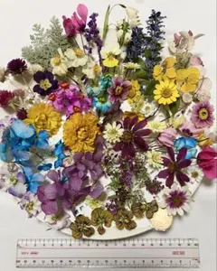 ドライフラワー盛り合わせ　ハンドメイド　花材セット