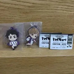 ハイキュー‼︎ でふぉラバ！　白布賢二郎　牛島若利　白鳥沢学園・稲荷崎