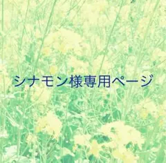 シナモン様専用ページ