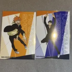 ハイキュー ピクチャーズコレクション 生ブロマイド　日向翔陽　影山飛雄