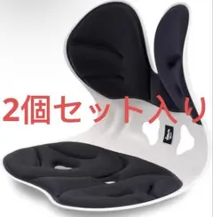 【ドイツ レッドドット賞受賞ブランド】(デズヤ）第二世代 姿勢矯正 椅子登場！