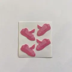 サンディライオン　フロッキー　トゥーシューズ