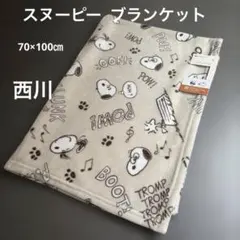 《新品》西川　スヌーピー　ブランケット 70x100cm 北欧　膝掛け　毛布