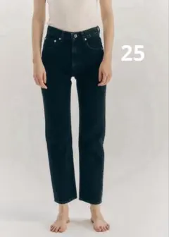 THE SHISHIKUI⭐︎CLASSIC DENIM25⭐︎BLACKのサムネイル