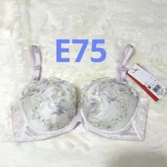 ウイング　後ろ姿キレイブラ
