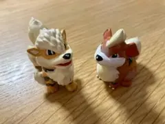 ポケモン モンコレ 初期 ガーディ、ウィンディ