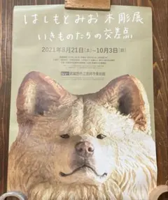 Item thumbnail for item 7e8a2d19-2ca2-4477-b5d8-2c3ccbdd0c99