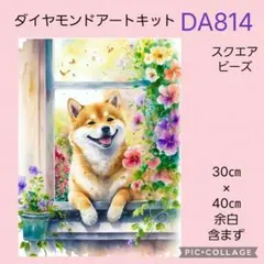 DA814★ダイヤモンドアートキット★スクエアビーズ