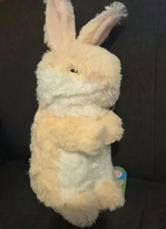 うさちっち なかよし ウルトラBIG ちょこっち - メルカリ