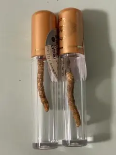 珍品！　冬虫夏草　セミ　昆虫標本　漢方　鉱物　隕石　呪物　根付　出土　人体標本 2025年最新】冬虫夏草 標本の人気アイテム - メルカリ