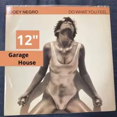 Joey Negro Do What You Feel (12インチ)