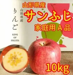 リンゴ　10kg①　山形県産サンふじ　家庭用　産地直送　ギフト　子供のおやつにも