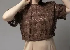 69 新品未使用タグ付き　ブラウン レース トップス