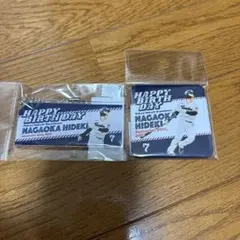 Item thumbnail for item 1811a291-48f1-4a53-93df-7ae753c5ec74