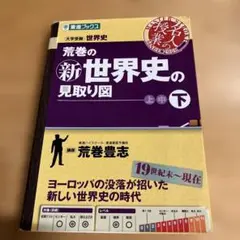 荒巻の(新)世界史の見取り図 : 大学受験世界史 下巻