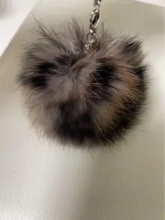 Item thumbnail for item 4512ae7b-75ea-46e5-82f1-b2d6054e9d37